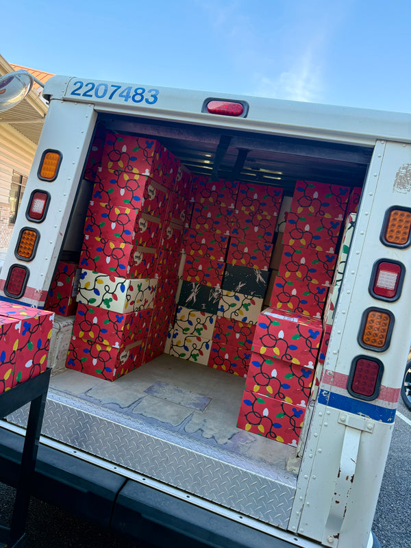 🖤 Black Friday Bibbidi Box – Princess Edition